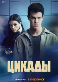 Цикады (сериал 2023) смотреть онлайн - LordFilm